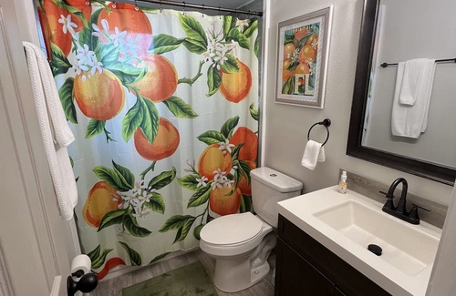 Oviedo House | Oviedo Peaceful and Centrally Located Lake home minutes from UCF