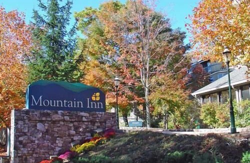 Wintergreen Condo | Mountain Inn Studio 91 with Wintergreen Advantage