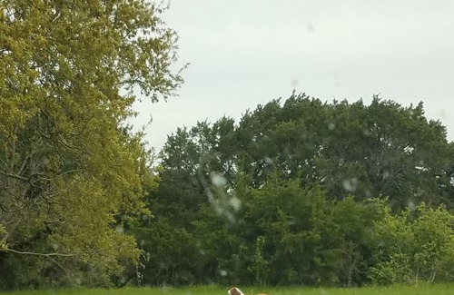 Moody RV Rental | Primitive Camping for Eclipse in Path of Totality