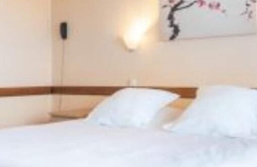 Bellerive-sur-Allier Apartment | Studio Standard - 1 LIT Double