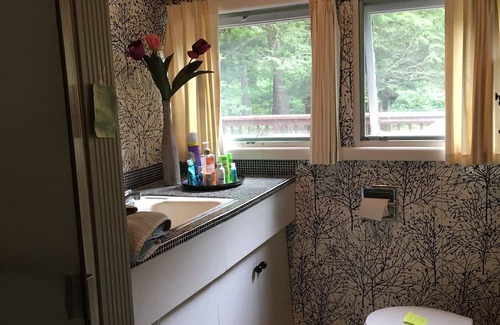 Phoenicia Cottage | IMMERSE YOURSELF IN NATURE PET FRIENDLY FISH FROM YOUR FRONT DOOR