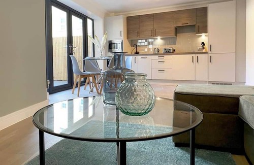 Rochester East Ward Apartment | 360 ME1 Sylvia Apts 01 - Modern Stylish 2 Bedroom 2 Bath Apt. 01 in Rochester