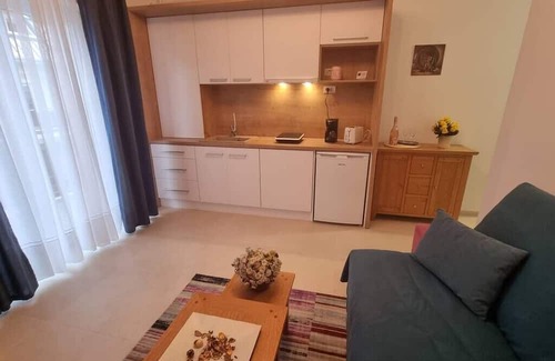 Tractorul Apartment | Bella Vista Studio w/ courtyard view, terrace