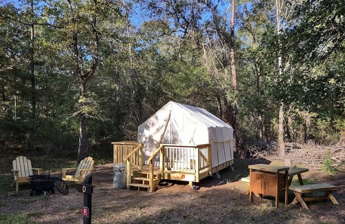 West Livingston RV Rental | Tentrr State Park Site - TX Lake Livingston State Park - Site D - Single Camp