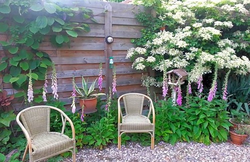 Gravenmoer Bed & Breakfast | B & B De Pimpelmees