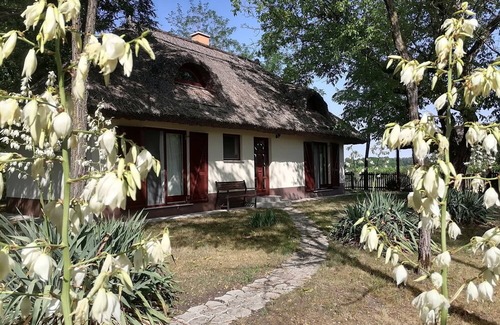 Orgovany House | 2 houses in the heart of nature with private pool