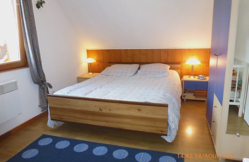 Bellefosse Cottage | Detached house in the mountains (Alsace) Champ du Feu Massif Sk station