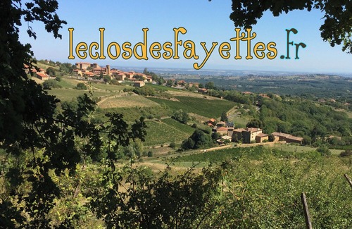 Theize House | Le Clos des Fayettes