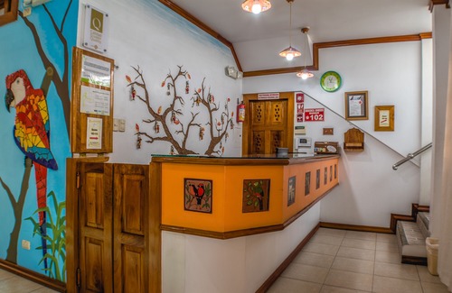 Kennedy Bed & Breakfast | Hostal Macaw