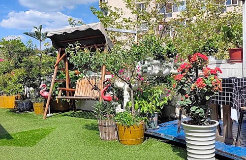 Chengdu City Centre Hotel | Smile in Long Time No See Youth Hostel - Jinli Square