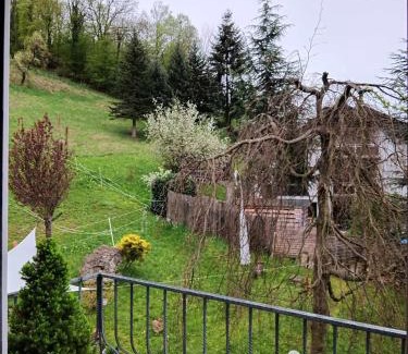 Eltmann House | Pension Eltmann