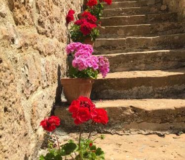 Loubressac Bed & Breakfast | Manoir de Rieuzal