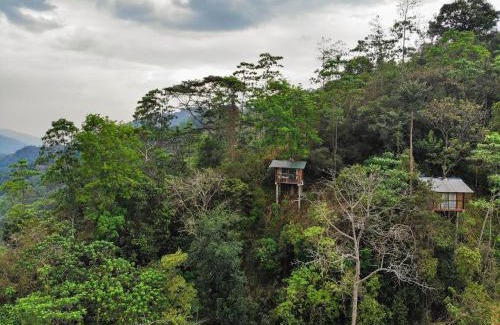 Ginigathena Hotel | Tree Houses by Jungle River