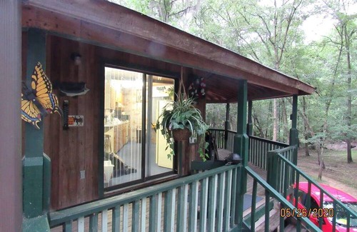 Claxton Cabin | Georgia's Family-Friendly Octagon Cabin Getaway in Claxton