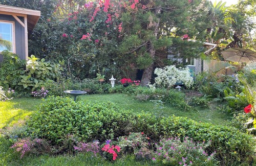 Opihihale House | Unique opportunity to live Kona, Hawaii from Nov.1-Nov.30,2025.