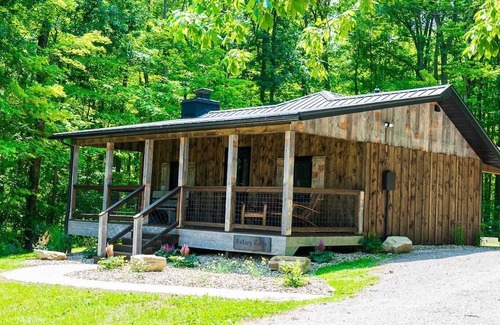 Madison Cabin | Cozy Rustic Cabin w/Hot Tub & Scenic Trails in Ohio’s Wine Country