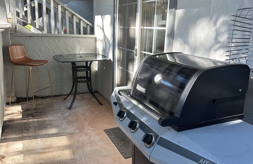 Basalt Condo | Fully-renovated 2BR condo in delightful Basalt