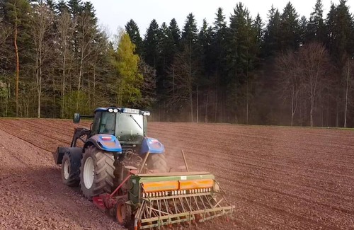 Waldachtal Apartment | Holiday Apartment on a Farm in Black Forest