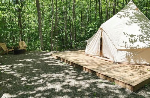 Miller Lake House | "The Palm" Unique Glamping Tent near Tobermory