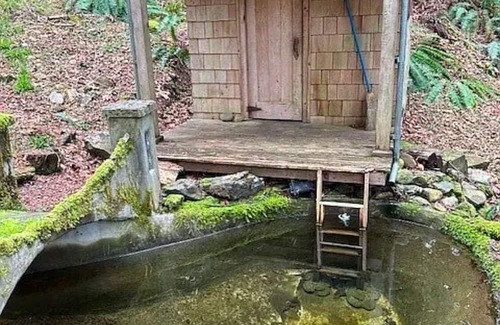 Brinnon House | A perfect escape in the woods on the Hood Canal! Cabin, treehouse, camp sites!