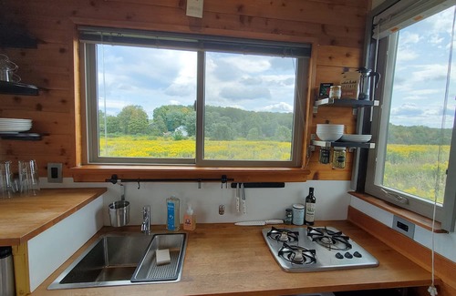 Hartwick Cabin | Tiny House in a peaceful meadow near Cooperstown