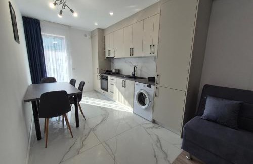 Radauti Apartment | Adroit Residence