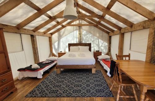 Newport Other | NATURA Wilderness