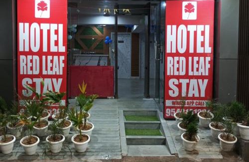 South West Hotel | Red leaf stay