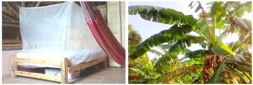 Palomino House | Exclusive EcoHouse & SeaView