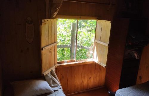 Lican Ray Apartment | Lican Ray 2024