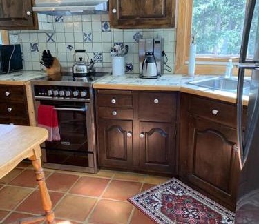 Alma Ski Chalet | Alma Sky Chalet