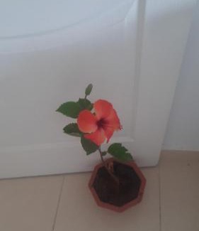 Gueznaia Apartment | المنزل الرحاحة