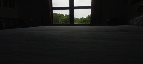 Kimbissa House | peacock house
