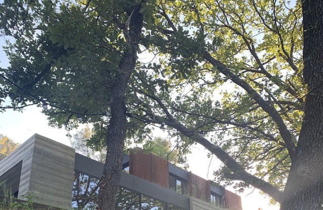 Vrbo Property