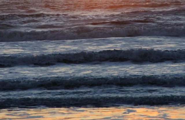 Carefree Days at The Beach