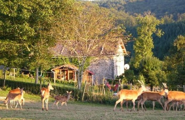 Country House 'Pagorriaga' with Mountain View, Shared Terrace and Wi-Fi