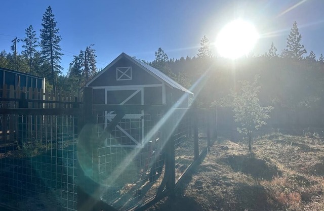 RV Spot Site 1