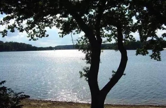 Domaine les Nids du Lac* - POD 2 Rooms 2 People with private Jacuzzi