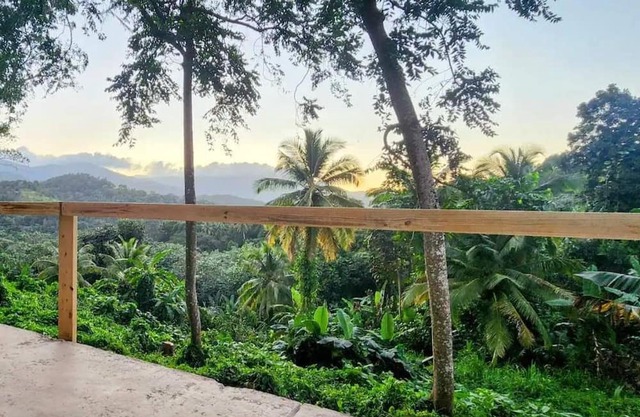 Finca De Jungla RainForest Retreat
