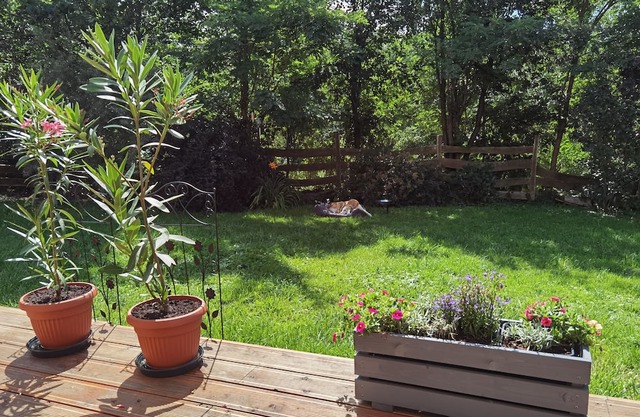 Excelent 1-Bed Apartment in Rzeszow