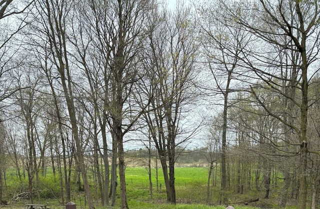 Country house with 3 bedrooms and 2 bathrooms. Several acres of woods to hike.