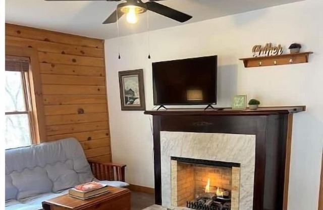 10 Min to Snowshoe! Large renovated Cabin with 4 bedrooms, 2 baths & large deck