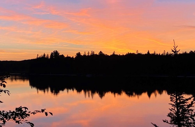 Booking now for summer! Stunning vintage log home on pristine lake.