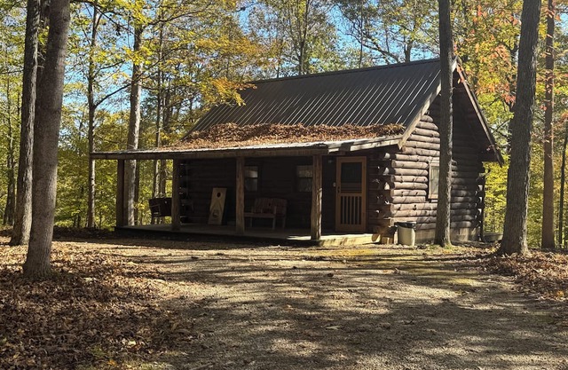Gorgeous Cabin surrounded by wildlife!