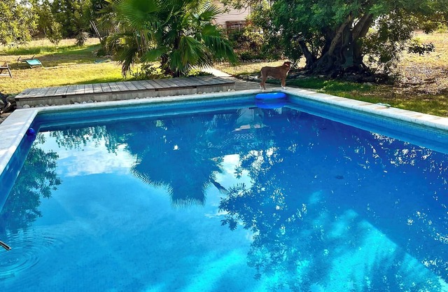 Finca close to nature in a secluded location approx. 10 km from the sea. Between olives and oranges