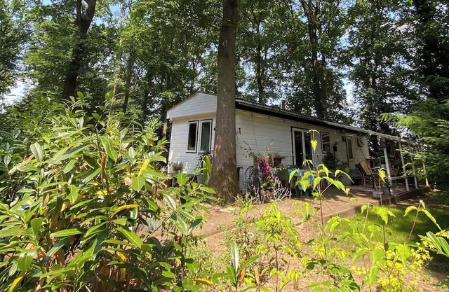 Forest cottage on the Veluwezoom