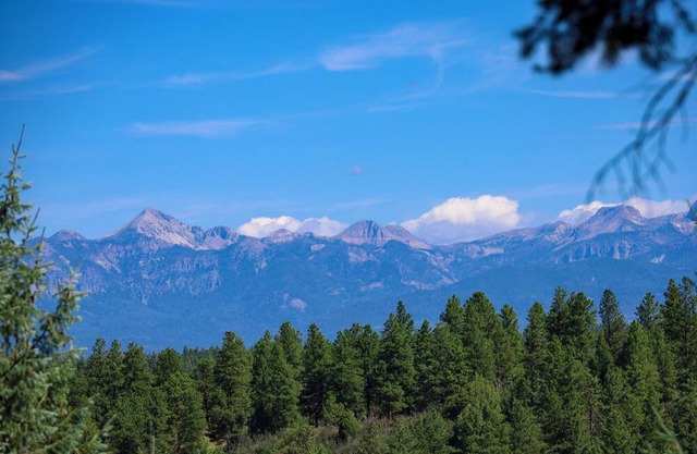 Mountain-View Cabin Retreat, 3 BR Main House + 1 BR Apartment, Sleeps 10