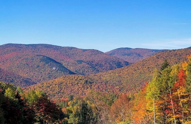 Mountain Log Home w/Amazing View! Foliage Awaiting