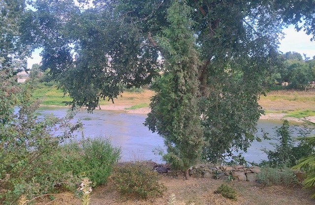 Le gîte de l'île du Buzet, facing the Loire and surrounded by nature. A haven of peace.