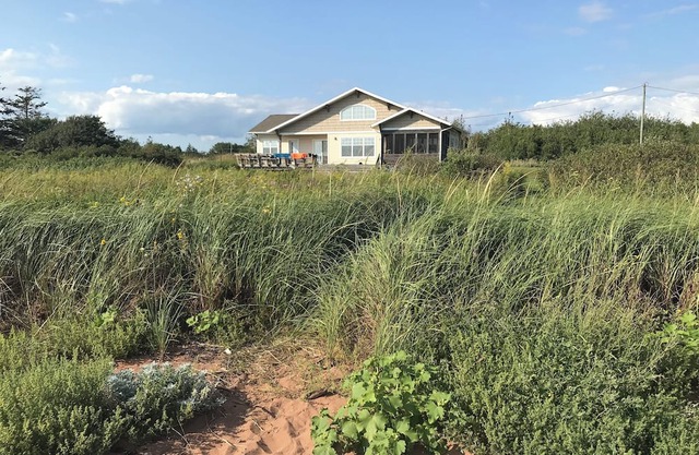 Tranquility Beach Cottage